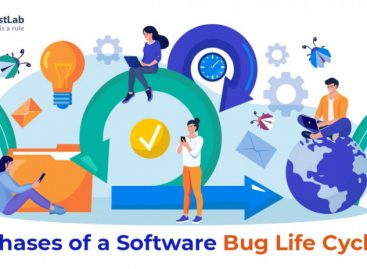 Phases of a Software Bug Life Cycle
