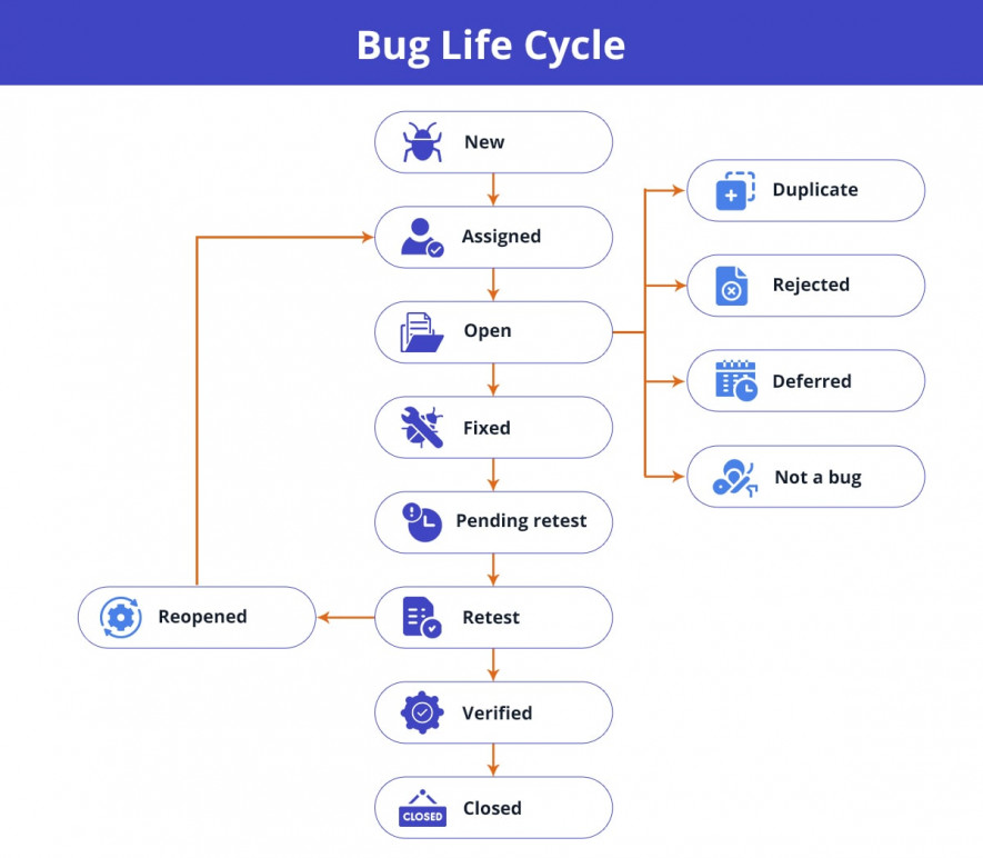 stages life cycle